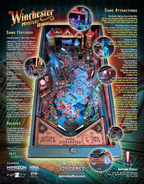 Winchester Mystery House Pinball Machine